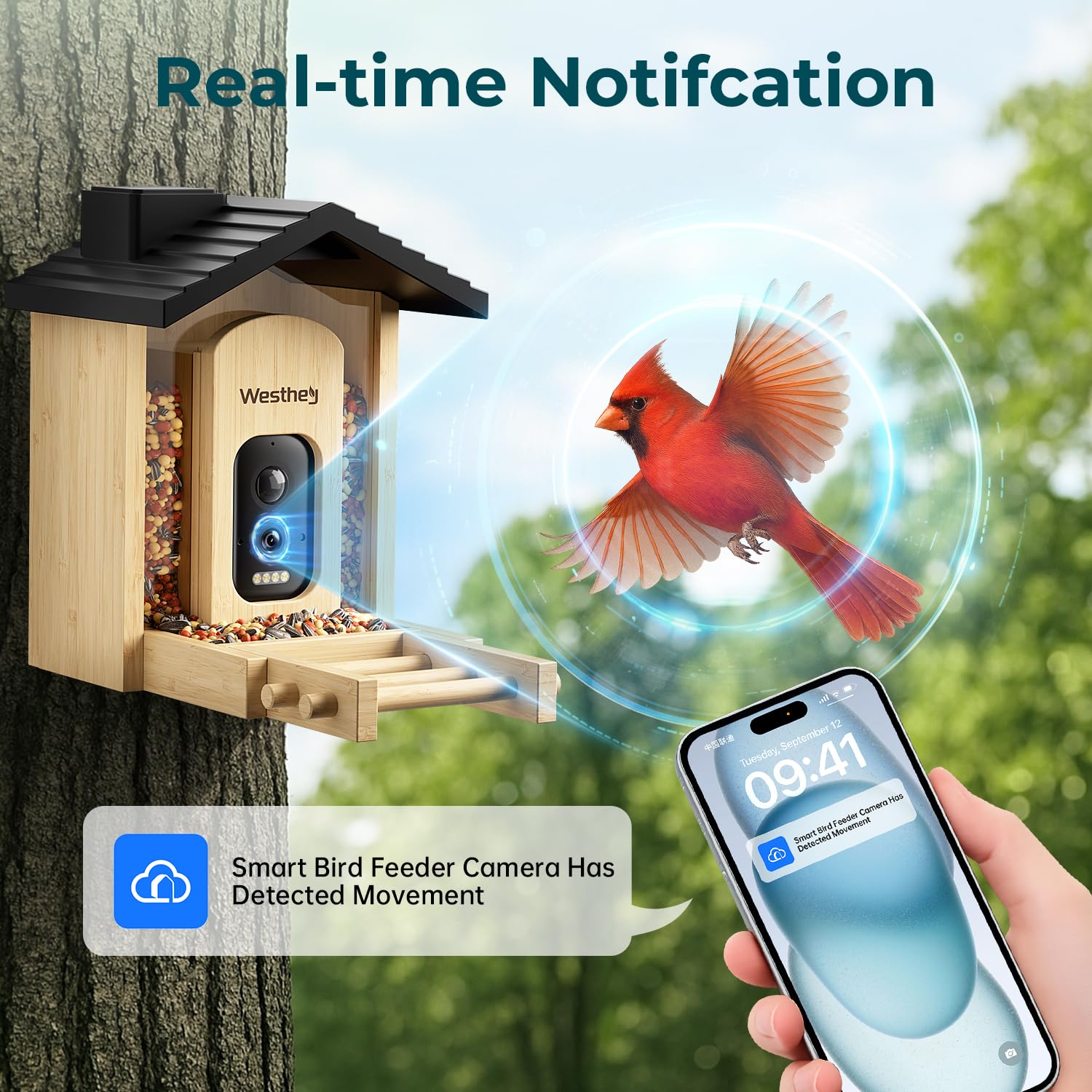 WESTHEY Solar Powered Bird Feeder with Camera - 2.5K HD AI ID 11,000+ Species