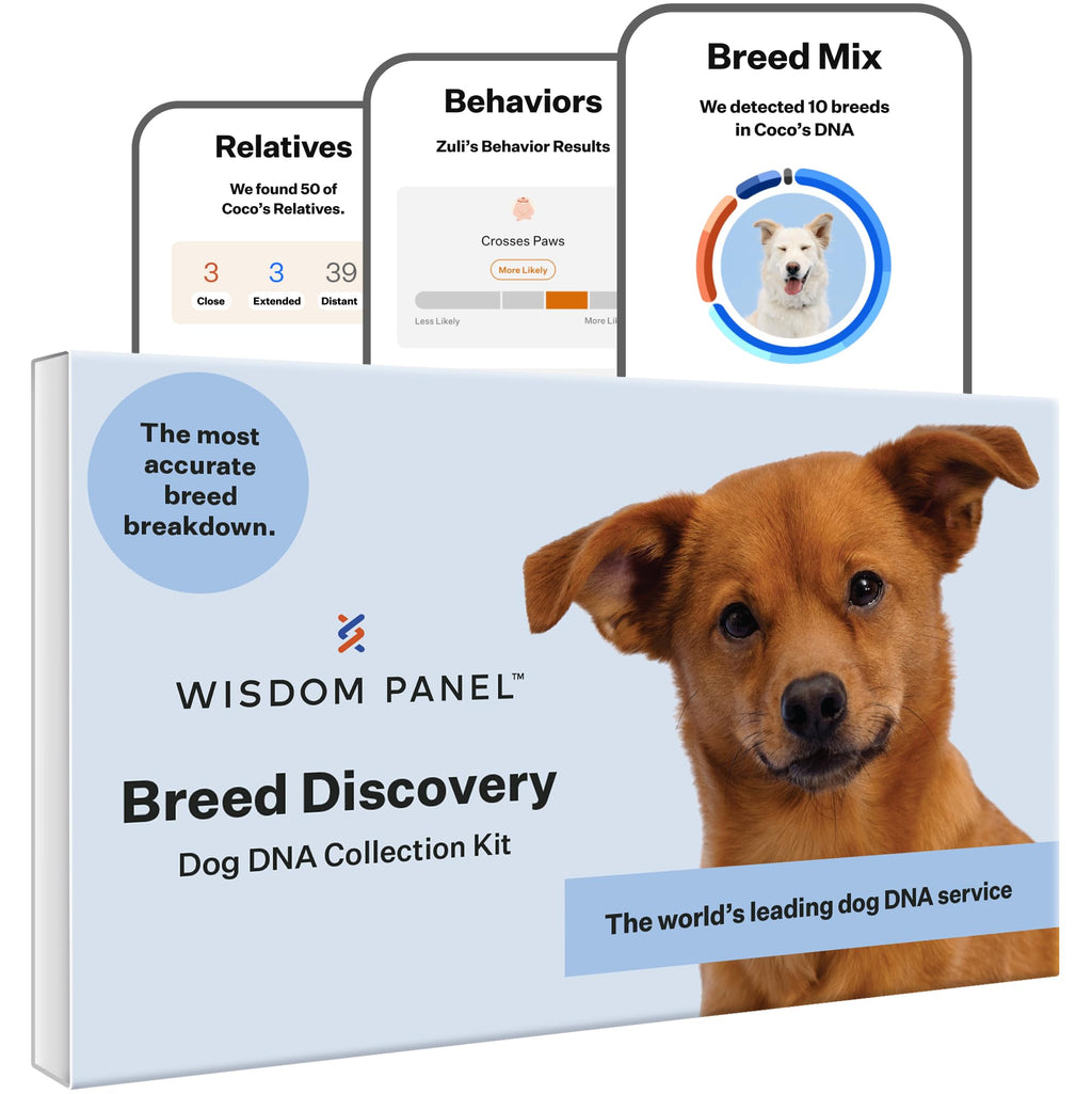 Wisdom Panel Breed Discovery Dog DNA Kit — 365+ Breeds, MDR1 Test, Ancestry & Relatives