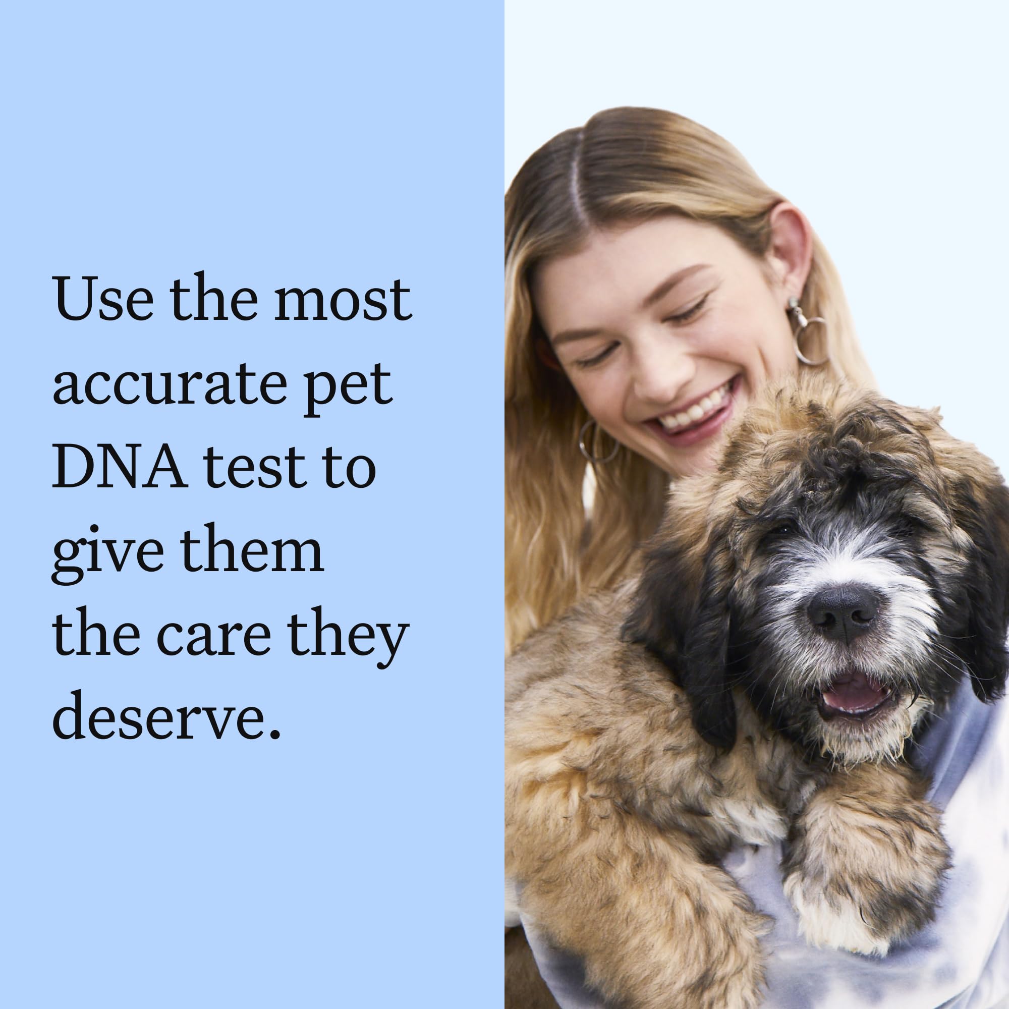Wisdom Panel Breed Discovery Dog DNA Kit — 365+ Breeds, MDR1 Test, Ancestry & Relatives