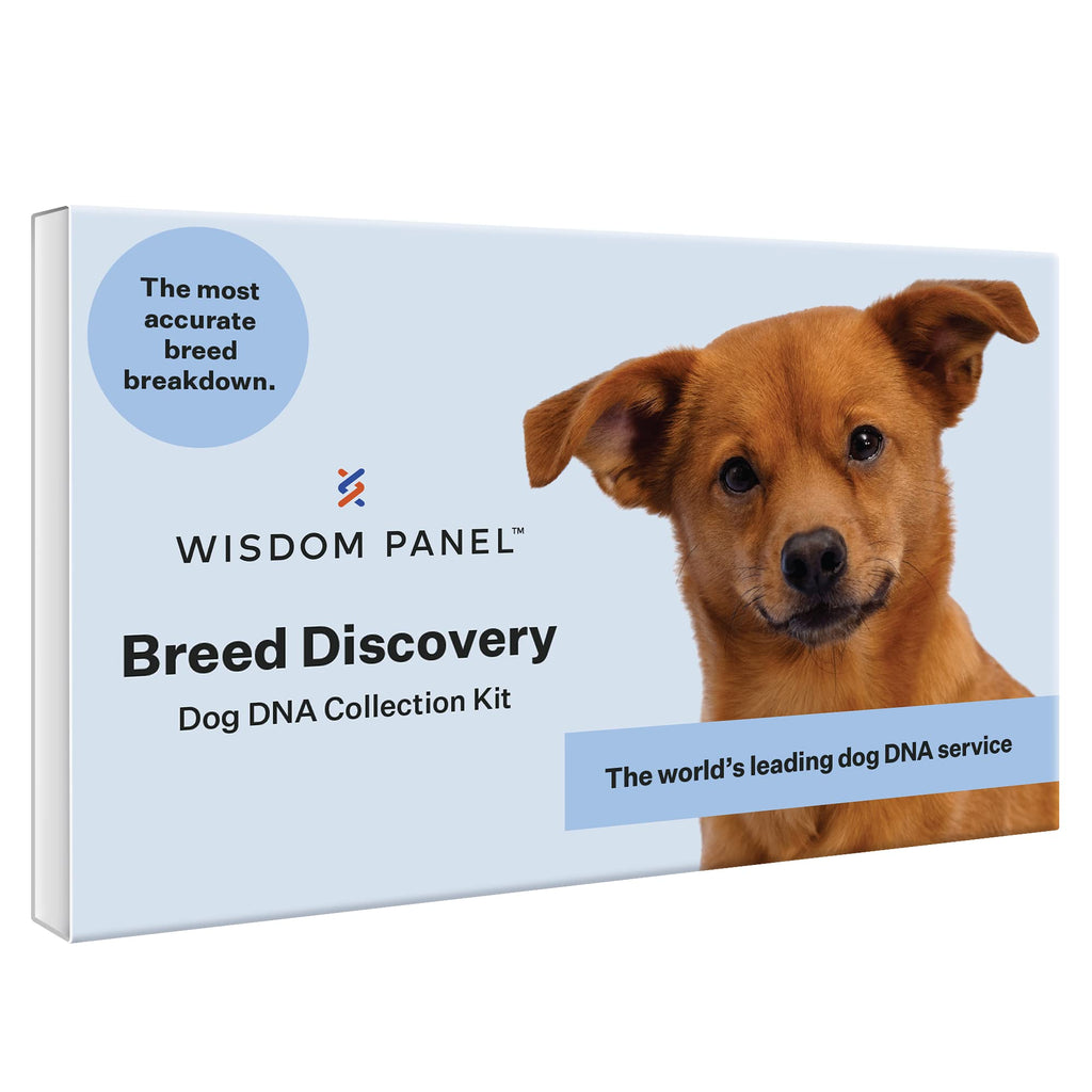 Wisdom Panel Breed Discovery Dog DNA Kit — 365+ Breeds, MDR1 Test, Ancestry & Relatives