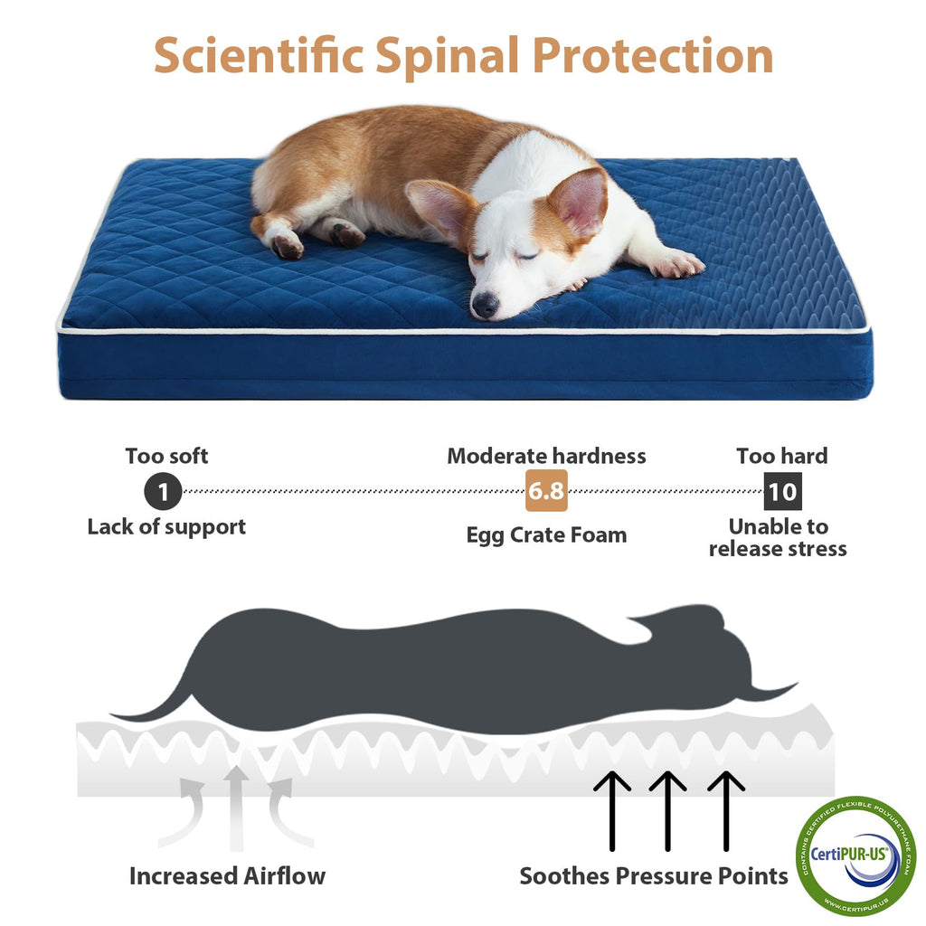 WNPETHOME Orthopedic XL Dog Bed – Large, Waterproof, Washable Cover, Non-Slip