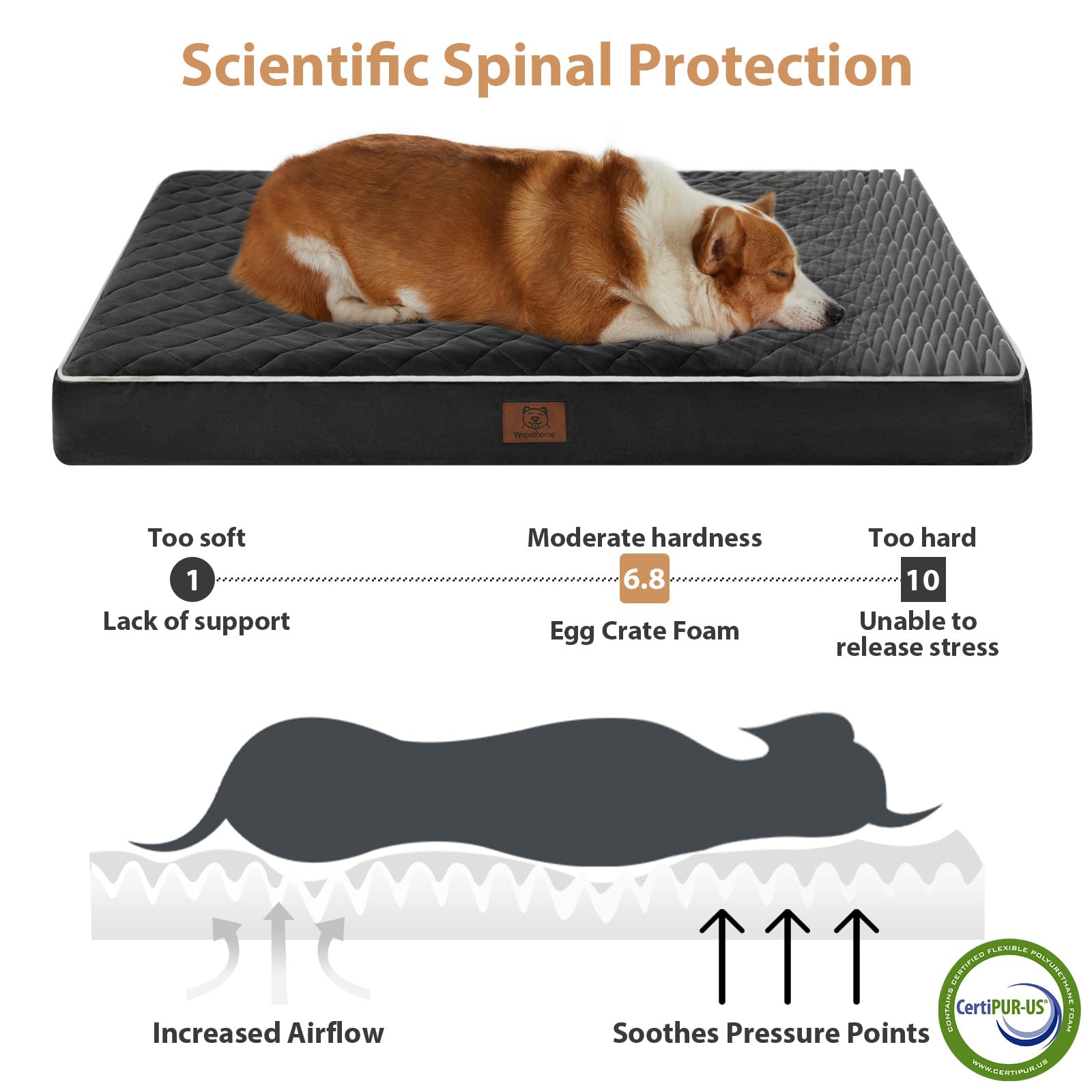 WNPETHOME Orthopedic XXL Dog Bed – Waterproof, Velvet Surface, 47×29×3.5 in
