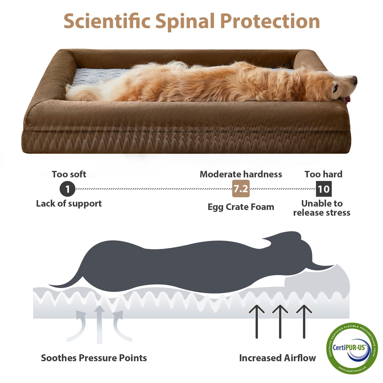 WNPETHOME XXL Extra Large Dog Bed – Orthopedic, Washable Cover with Bolster Sides