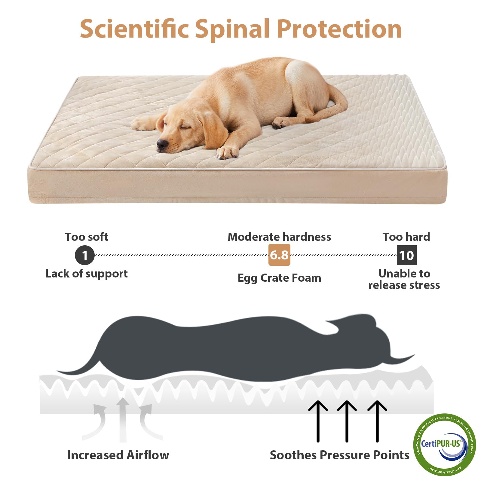 WNPETHOME Orthopedic XL Dog Bed for Crate – Waterproof, Washable Cover, Multi-Needle Quilting