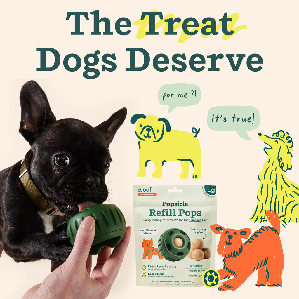 WOOF Pupsicle Refill Pops – Long-Lasting, Mess-Free Large Dog Treats (7 Count, 3 Pack)