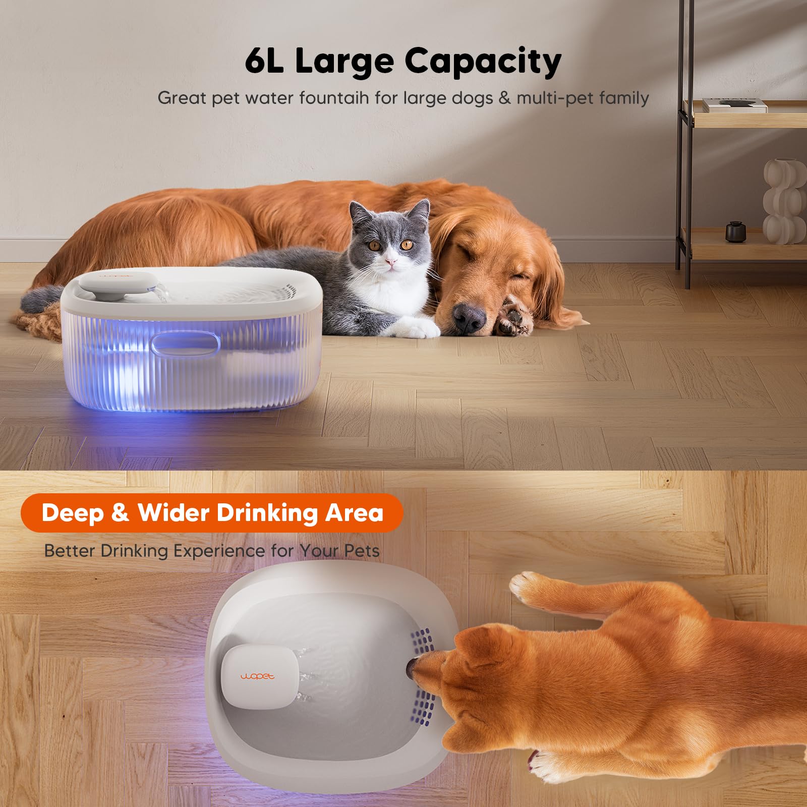 WOPET 6L Dog Water Fountain for Large Dogs — Quiet, BPA-Free Water Dispenser with Visual Level & 2 Filters