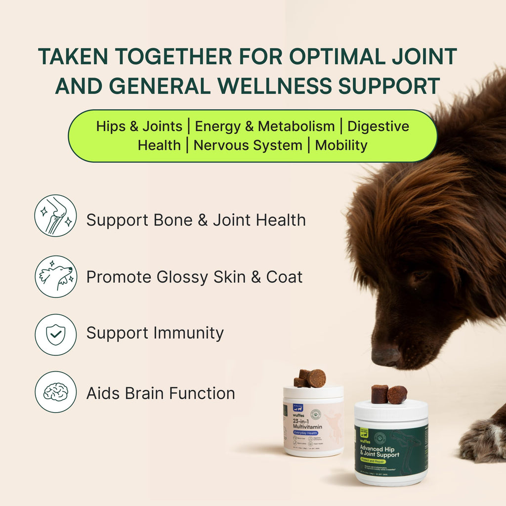 Wuffes 23-in-1 Chewable Dog Multivitamin Bundle – 2 Pack, 60 Count for Small & Large Breeds