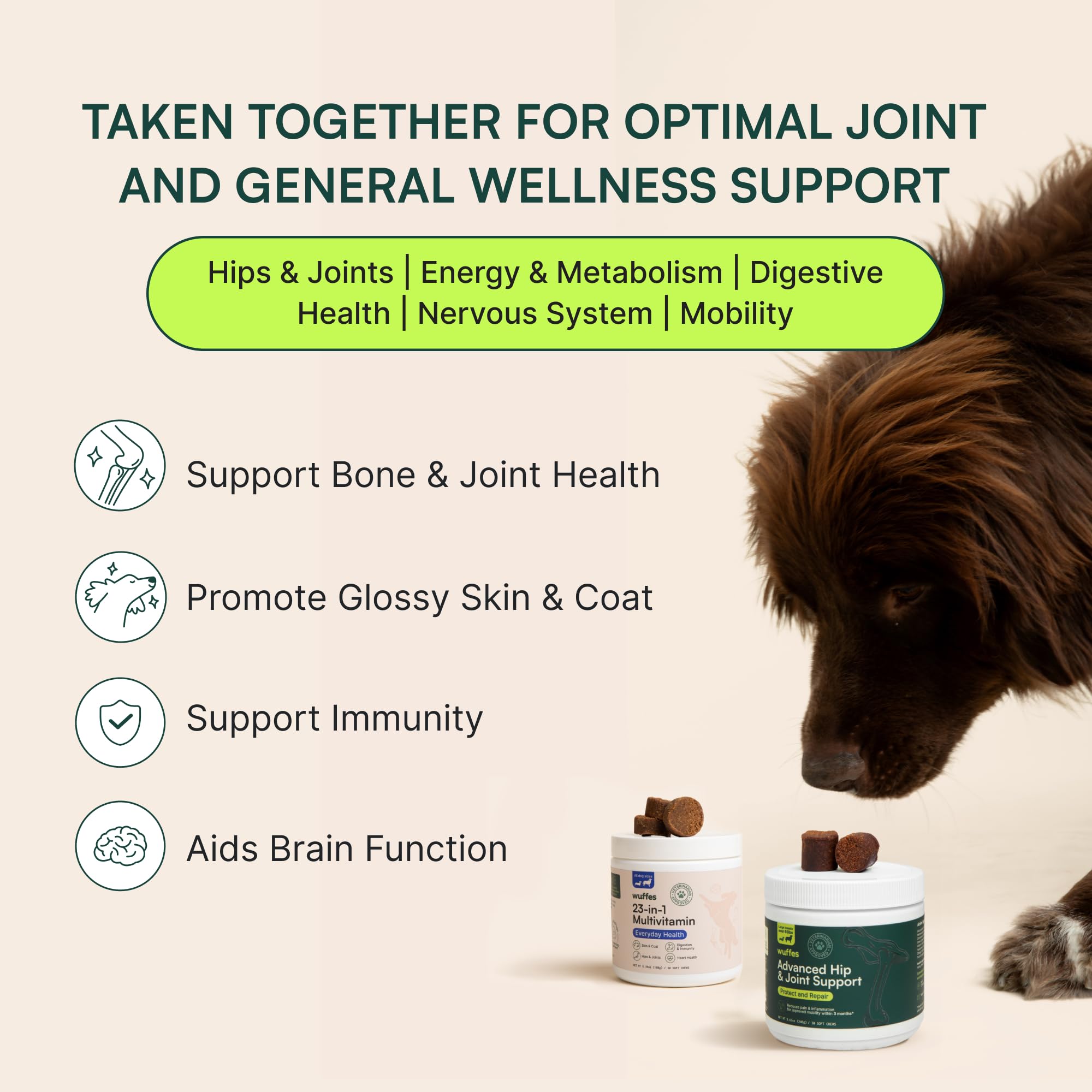Wuffes 23-in-1 Chewable Dog Multivitamin Bundle – 2 Pack, 60 Count for Small & Large Breeds