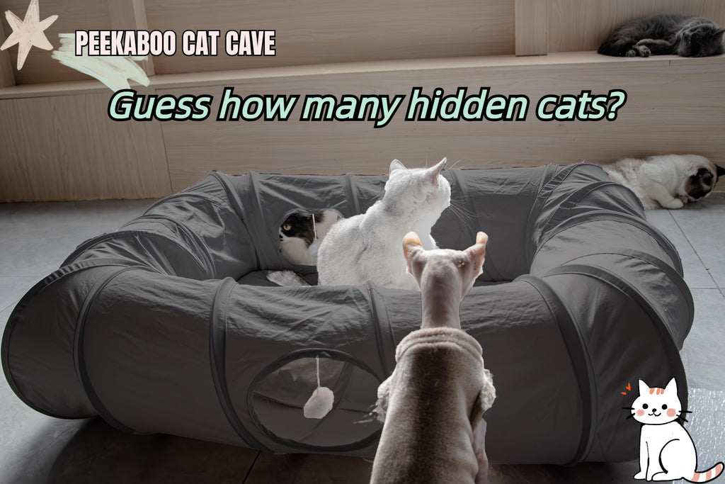 XxingSheep 4-Way XL Cat Tunnel Bed with Cool Mat - Indoor Cat Cave (Dark Gray)