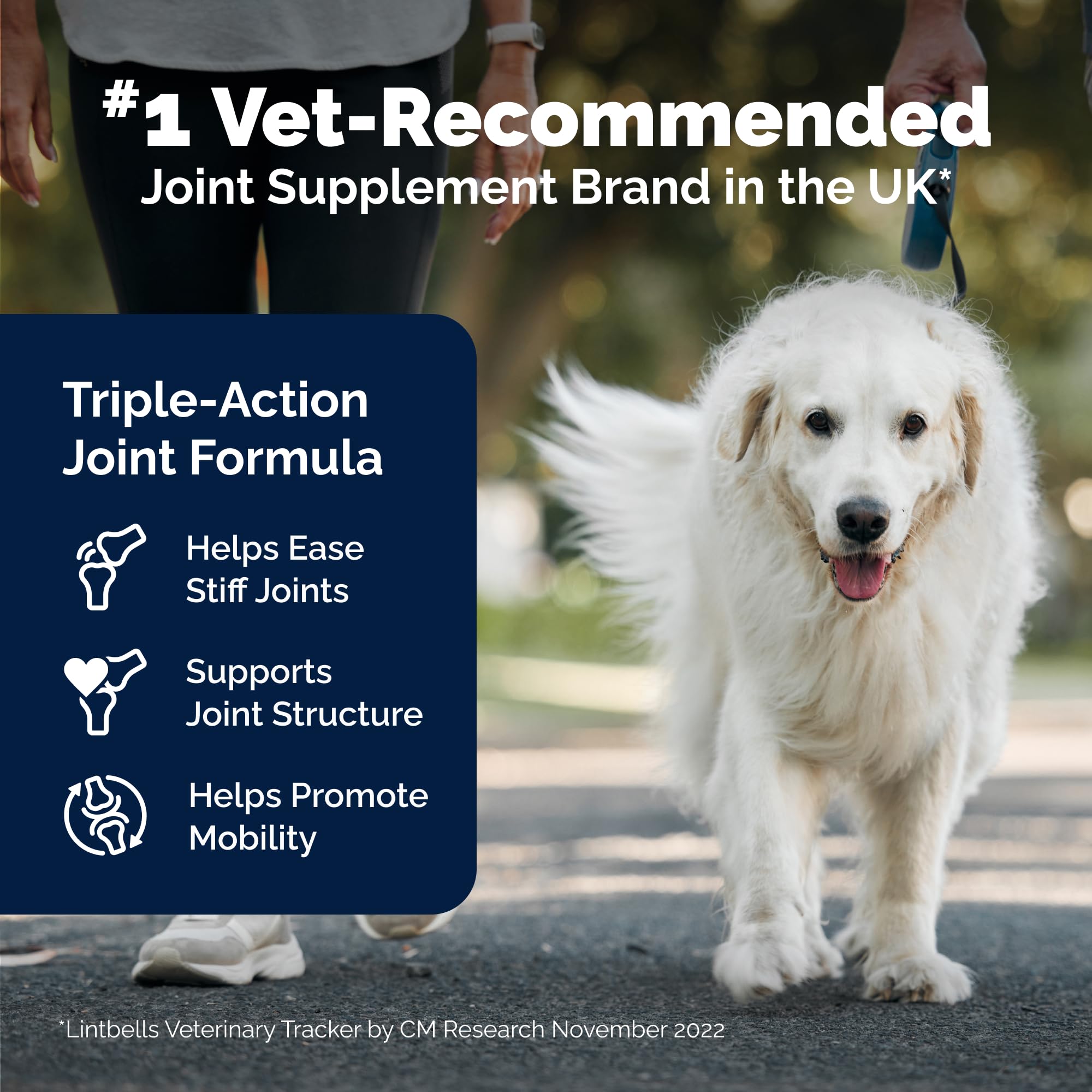 YuMOVE Hip & Joint Supplement for Dogs – Senior Joint Support (240ct Chewable Tablets)