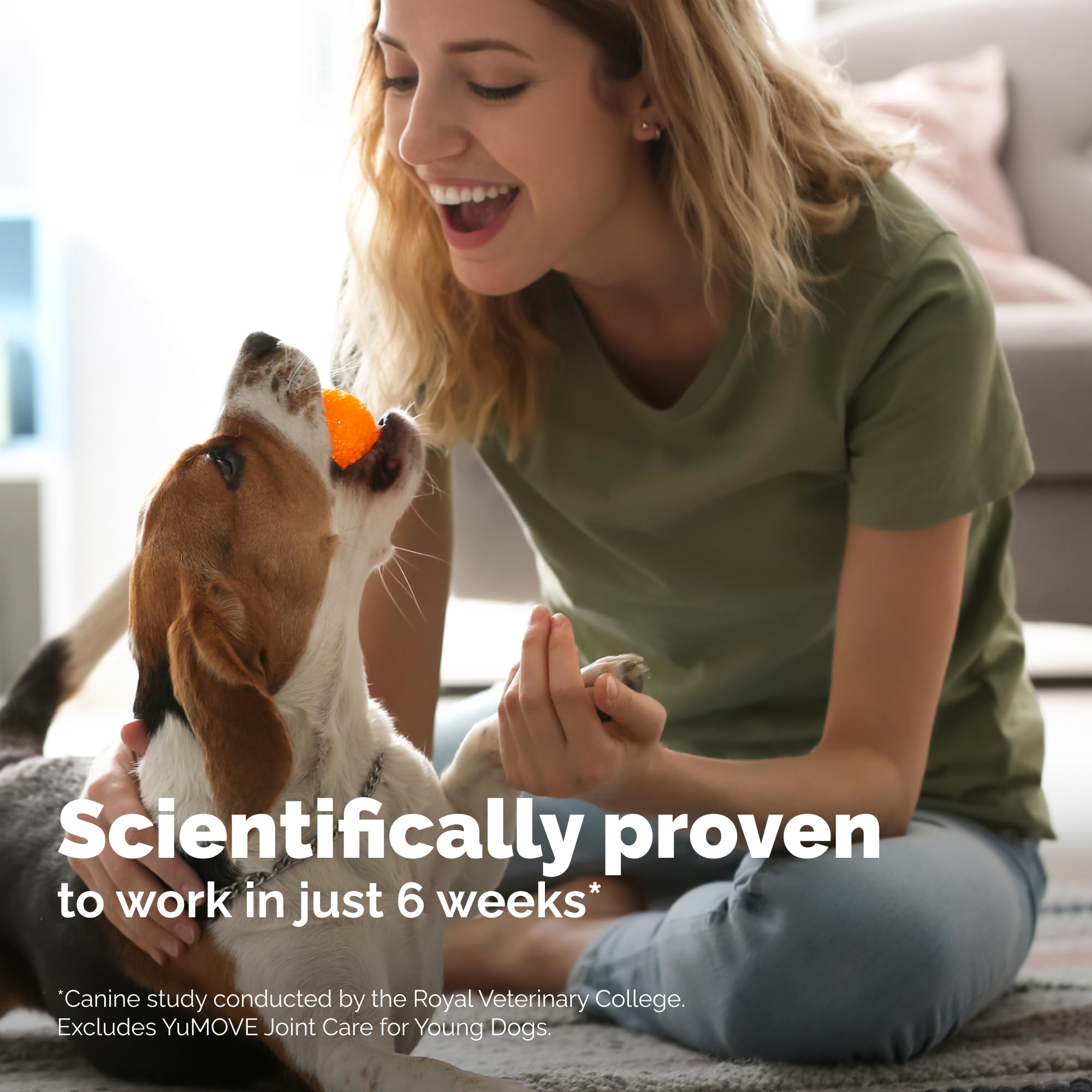 YuMOVE Hip & Joint Supplement for Dogs – Senior Joint Support (240ct Chewable Tablets)
