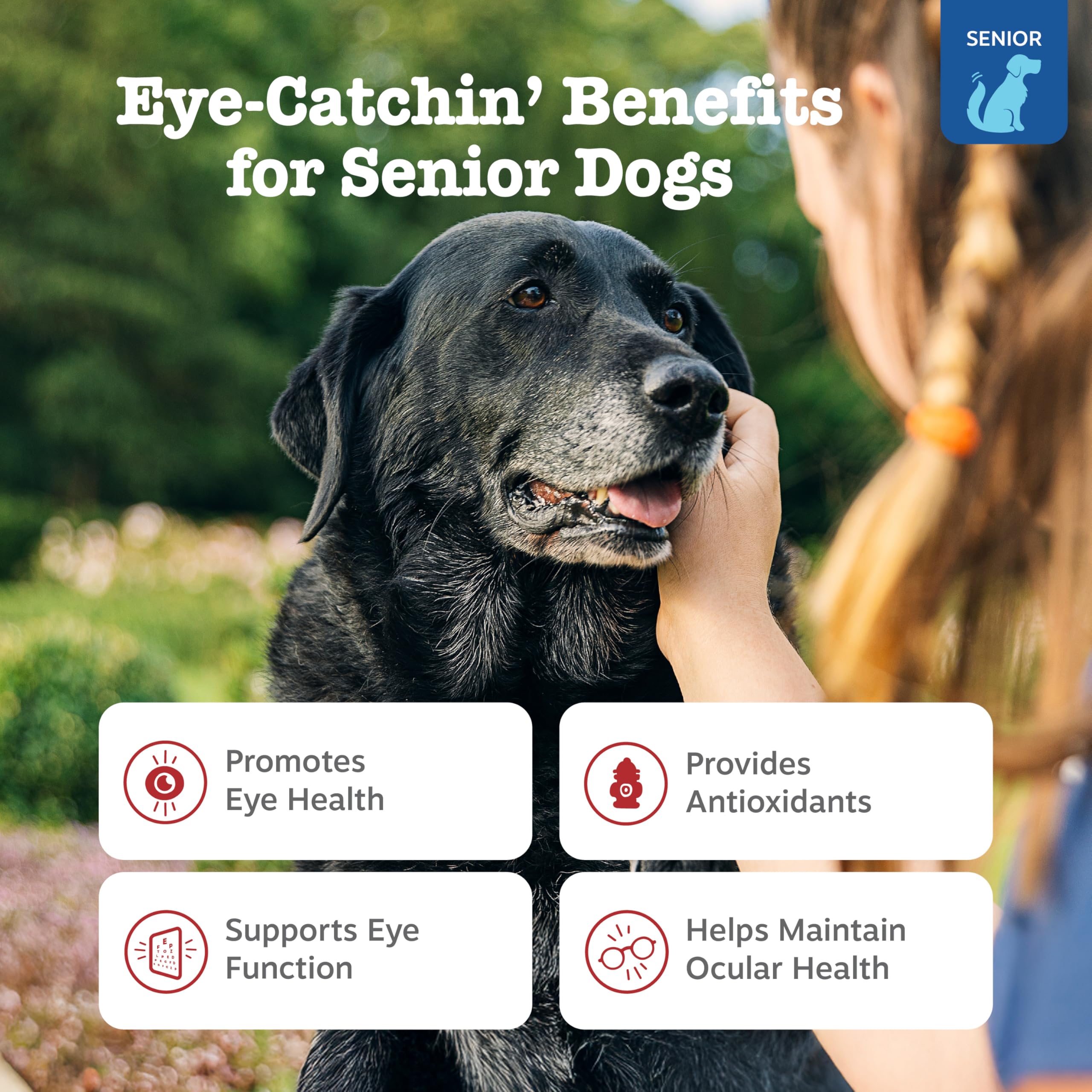 Zesty Paws Eye Supplement for Dogs – Vision Support with Antioxidants & Omega-3, 90 Soft Chews