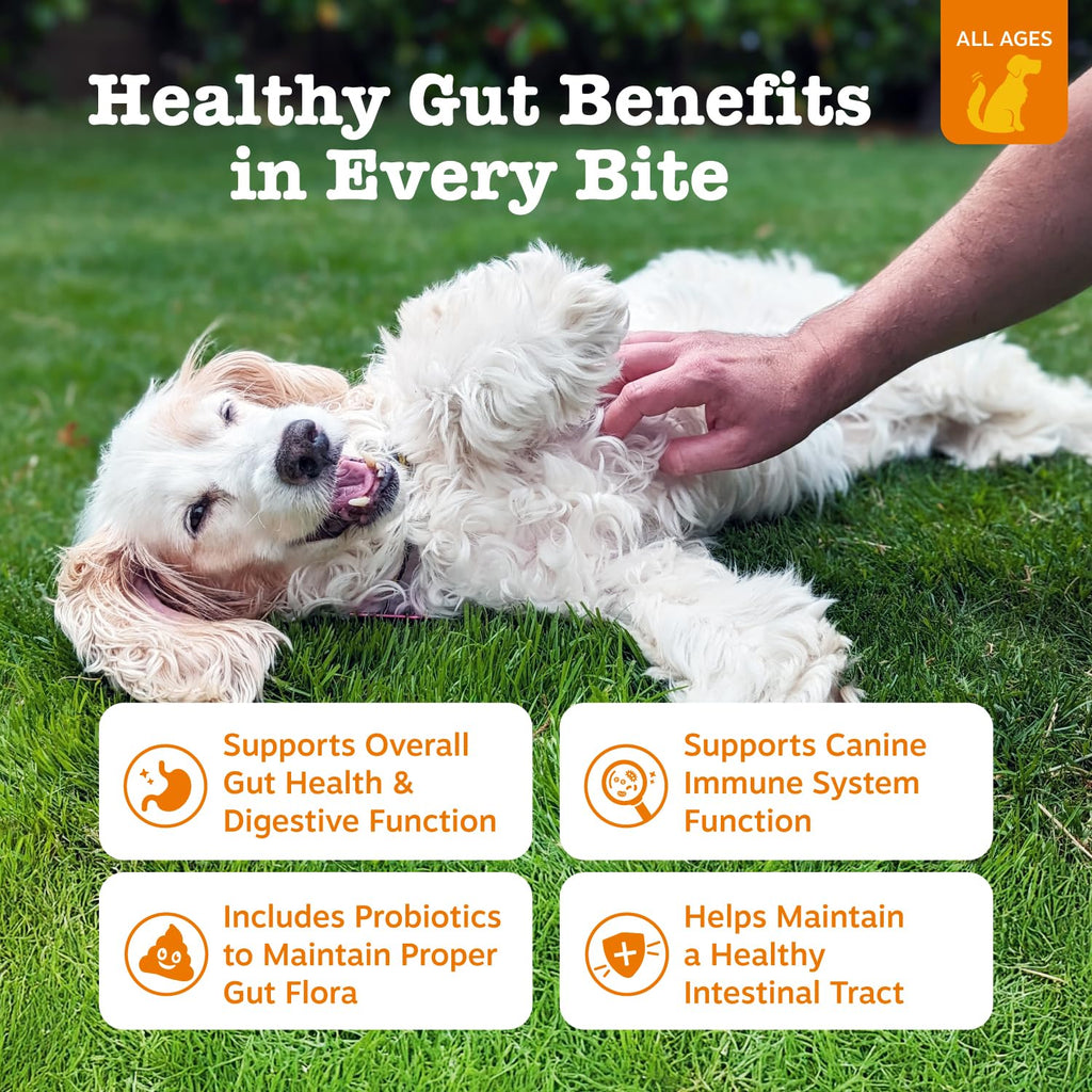 Zesty Paws Probiotics for Dogs with DE111 – Digestive Health, Immune Support, Pumpkin, 250 Ct
