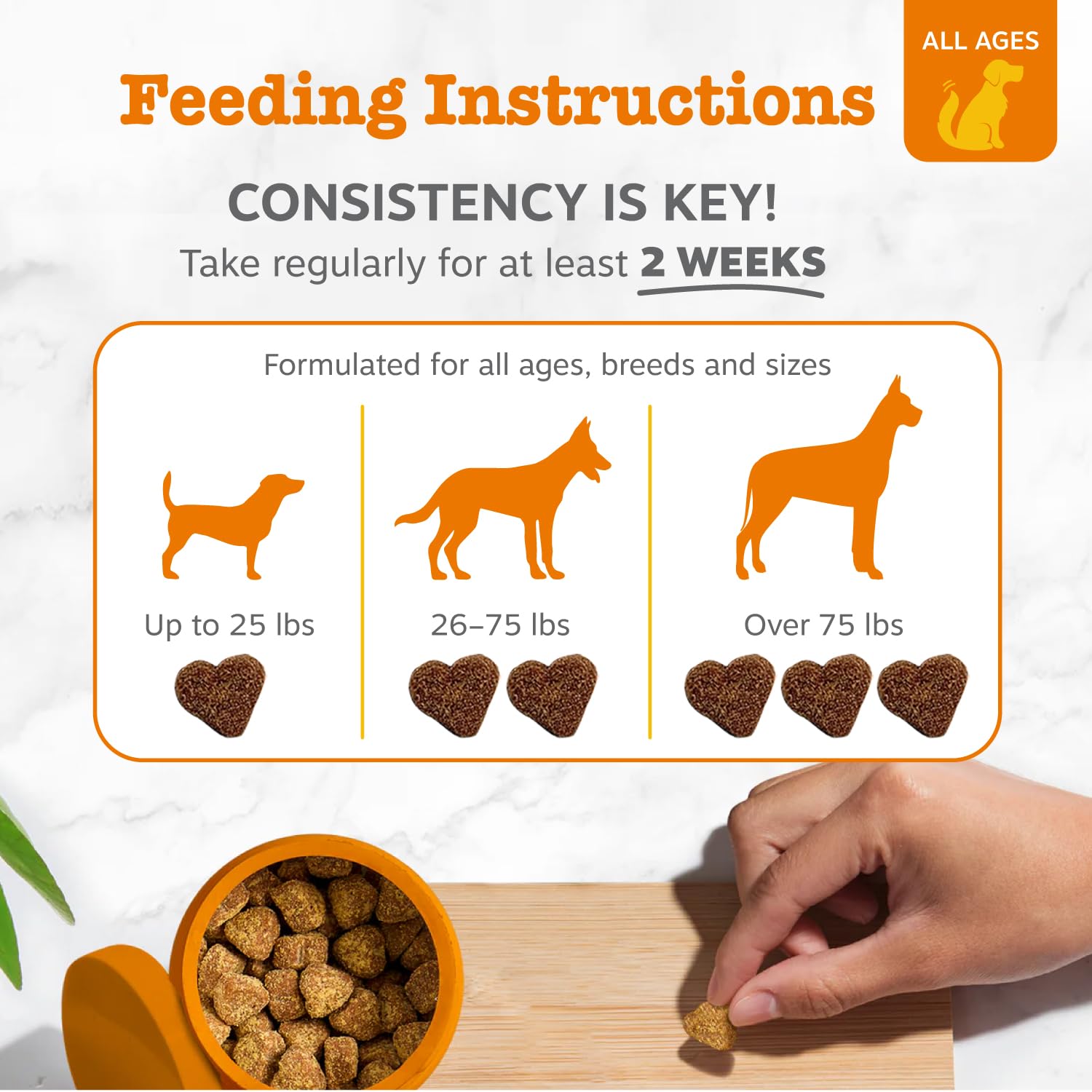 Zesty Paws Probiotics for Dogs with DE111 – Digestive Health, Immune Support, Pumpkin, 250 Ct