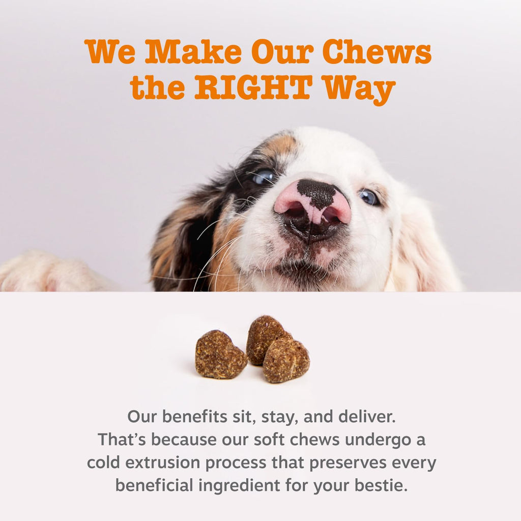 Zesty Paws Probiotics for Dogs with DE111 – Digestive Health, Immune Support, Pumpkin, 250 Ct