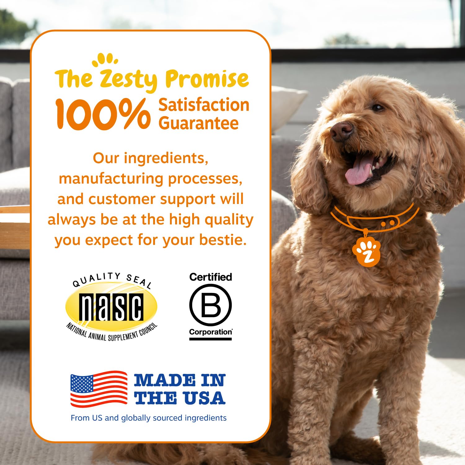 Zesty Paws Probiotics for Dogs with DE111 – Digestive Health, Immune Support, Pumpkin, 250 Ct