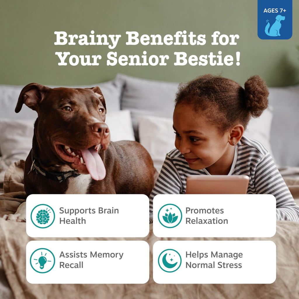 Zesty Paws Senior Advanced Calming & Cognition Soft Chews for Dogs – Brain Health, Nerve Support & Calming