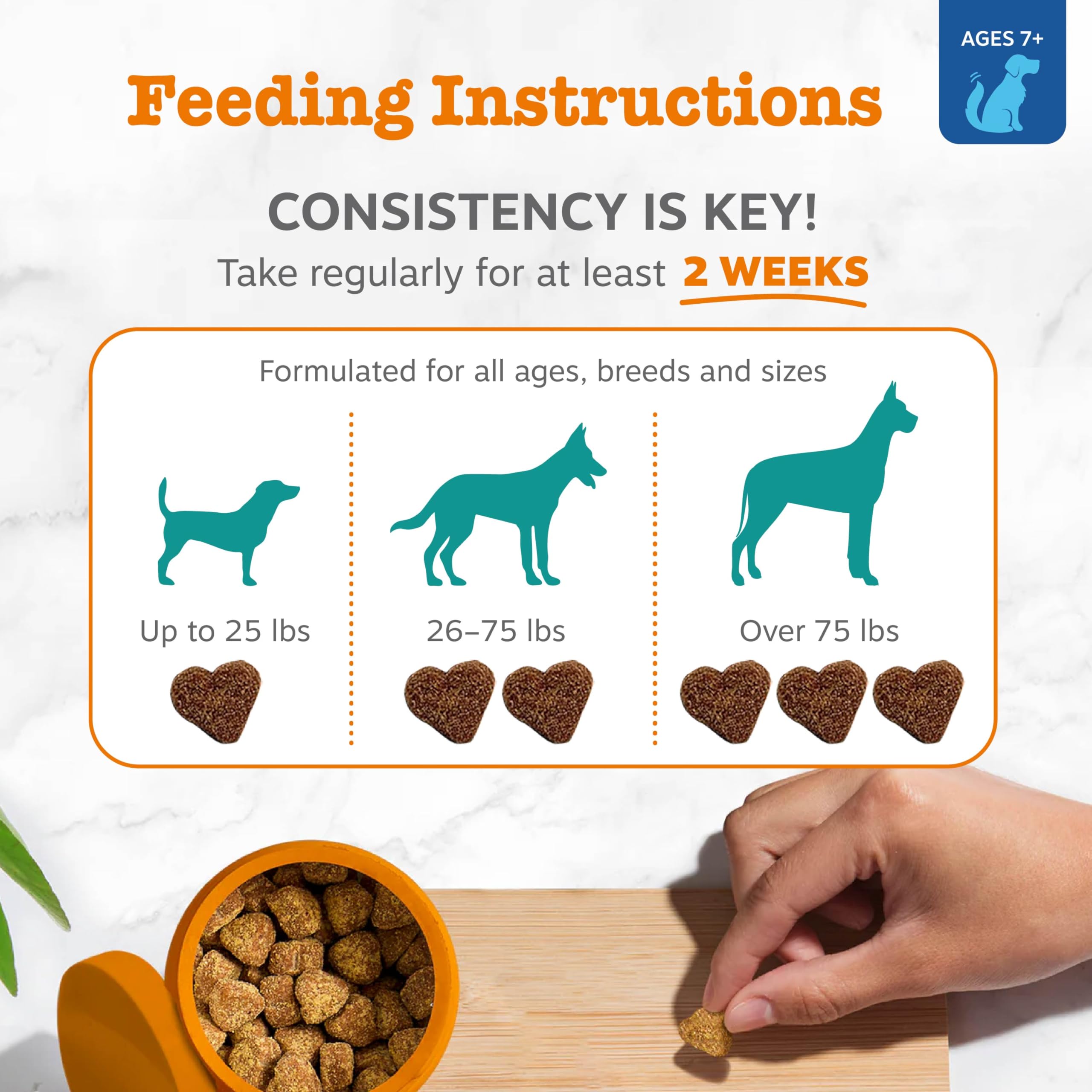 Zesty Paws Senior Advanced Calming & Cognition Soft Chews for Dogs – Brain Health, Nerve Support & Calming
