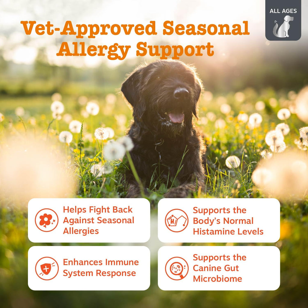Zesty Paws Vet Strength Dog Allergy Relief Chews — Probiotics for Itchy Skin (90 ct)