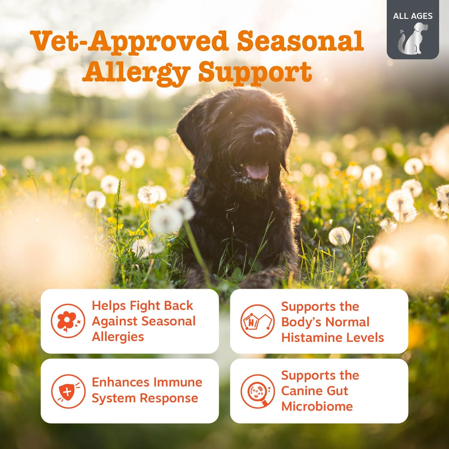 Zesty Paws Vet Strength Dog Allergy Relief Chews — Probiotics for Itchy Skin (90 ct)