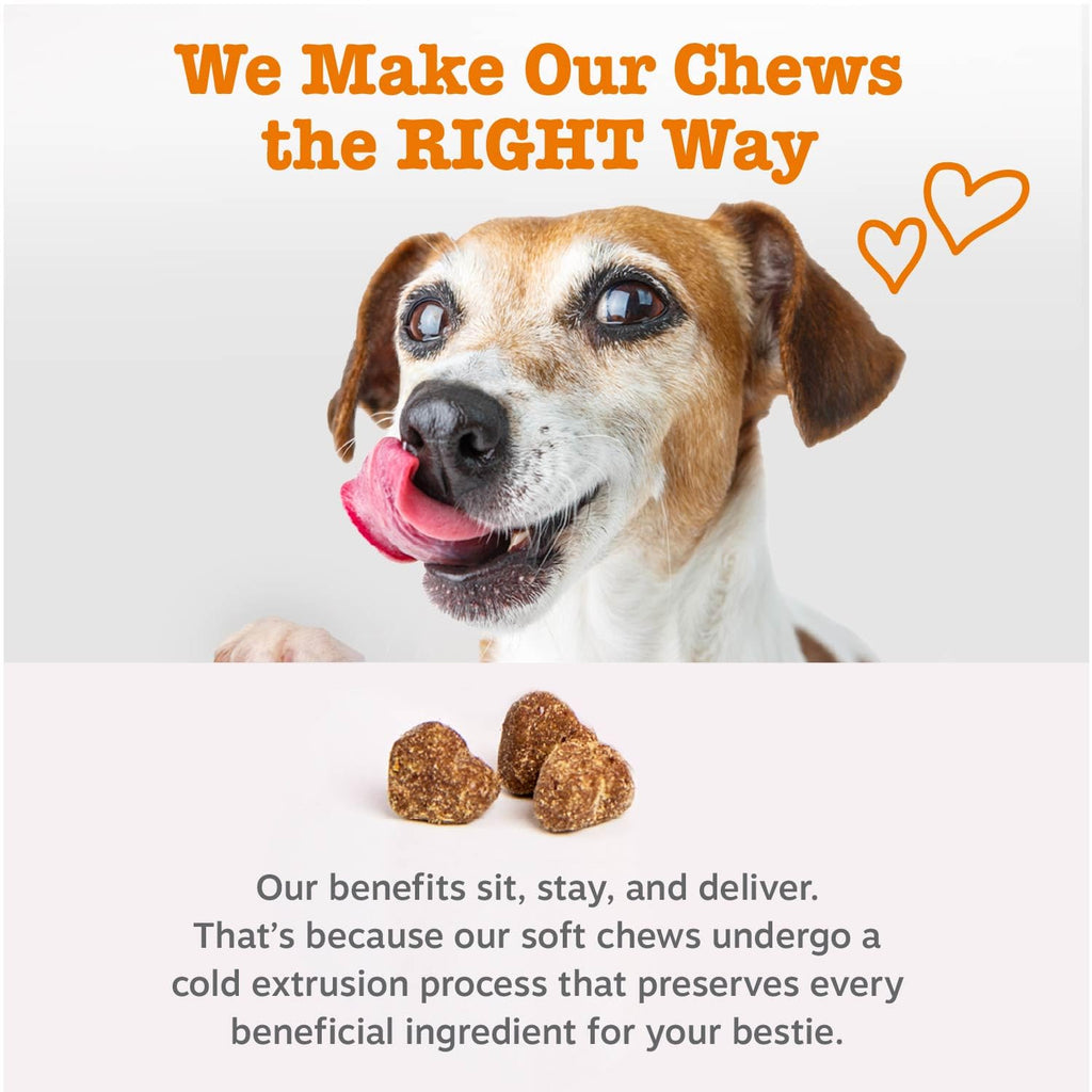 Zesty Paws Vet Strength Dog Allergy Relief Chews — Probiotics for Itchy Skin (90 ct)