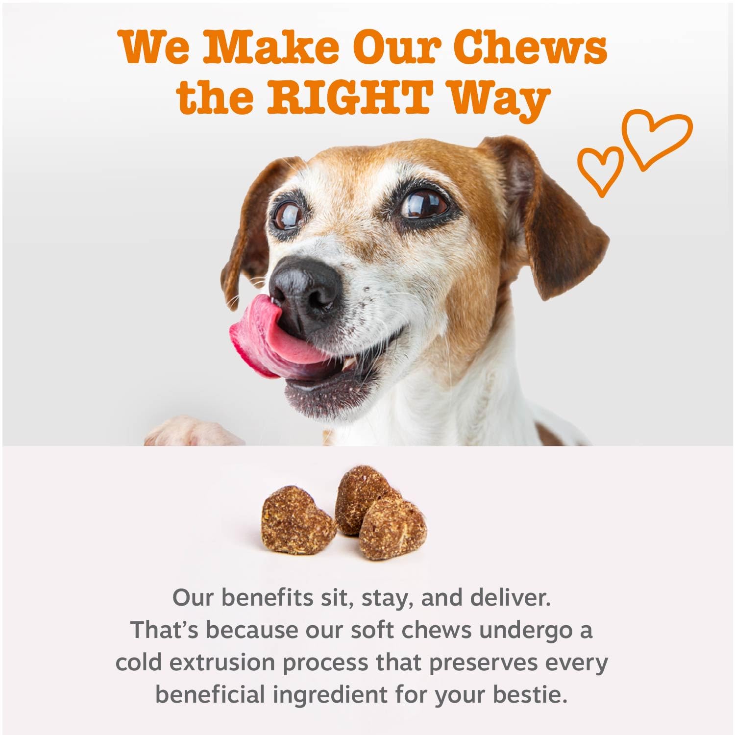 Zesty Paws Vet Strength Dog Allergy Relief Chews — Probiotics for Itchy Skin (90 ct)